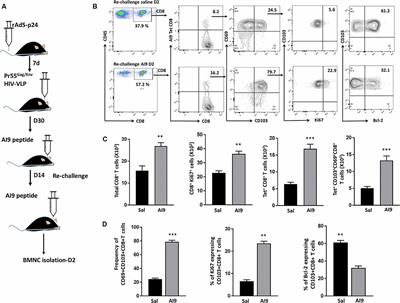 Dysregulated Microglial Cell Activation and Proliferation Following Repeated Antigen Stimulation